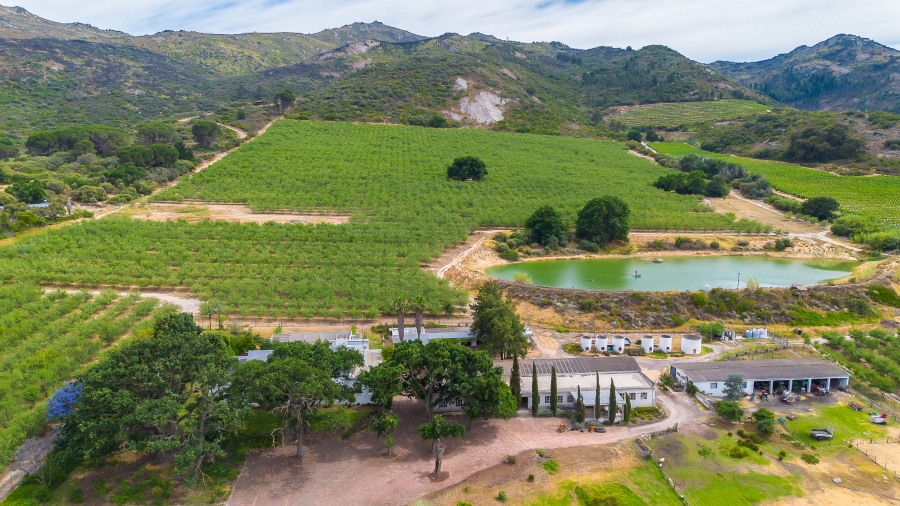 4 Bedroom Property for Sale in Paarl Rural Western Cape